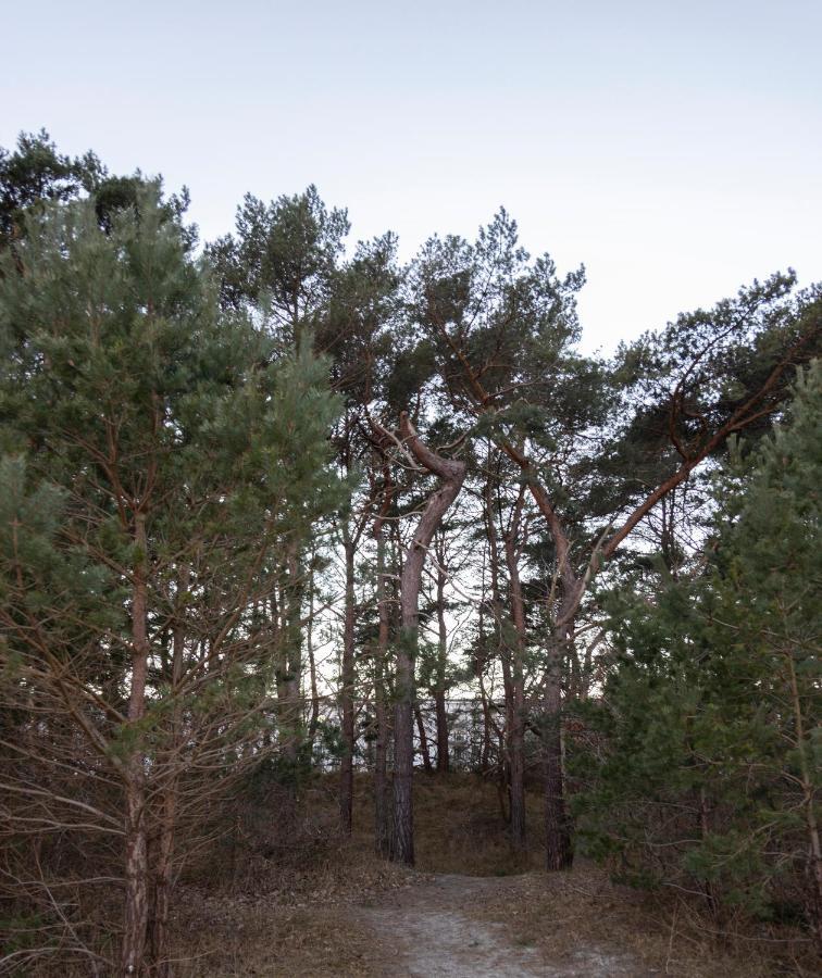 Luxus-Maisonette Fuer Die Grosse Familie Mit Direktem Strandzugang Binz Extérieur photo